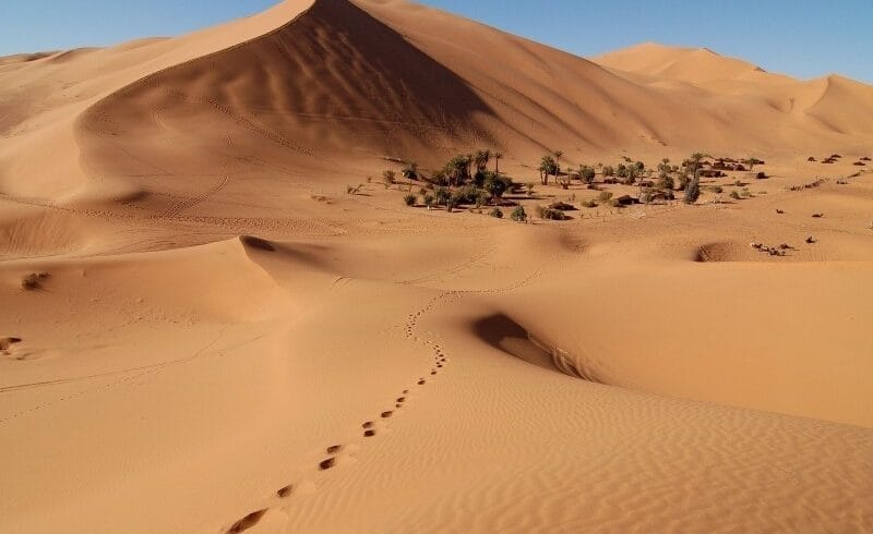 Randonnée chamelière dans l’erg Chebbi