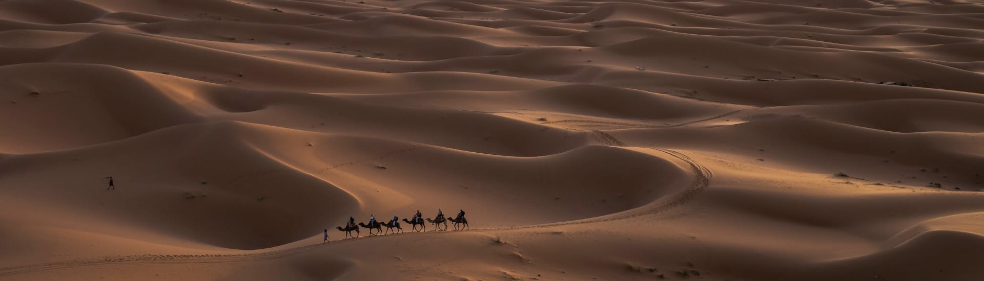 Dunes de Merzouga et caravane de dromadaires