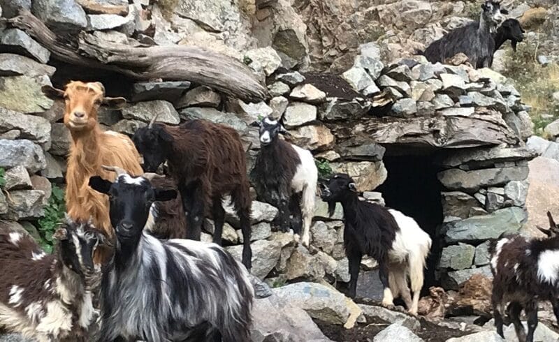 Ascension du Toubkal en 4 jours